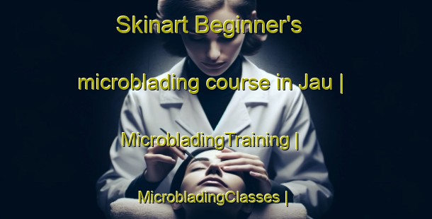 Skinart Beginner's microblading course in Jau | MicrobladingTraining | MicrobladingClasses | SkinartTraining-India